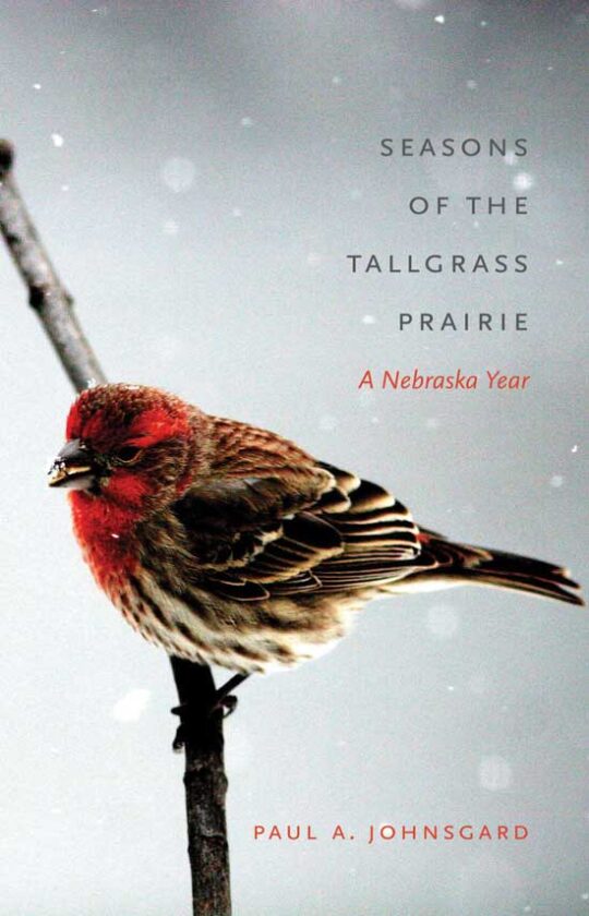 "Seasons of the Tallgrass Prairie," a collection of essays by respected author and scholar Paul A. Johnsgard, celebrates the natural delights of Nebraska's woodlands, grasslands and wetlands, from sandhill and whooping crane migrations to prairie chicken courtship, hummingbird territorial displays and swan vocalizations.